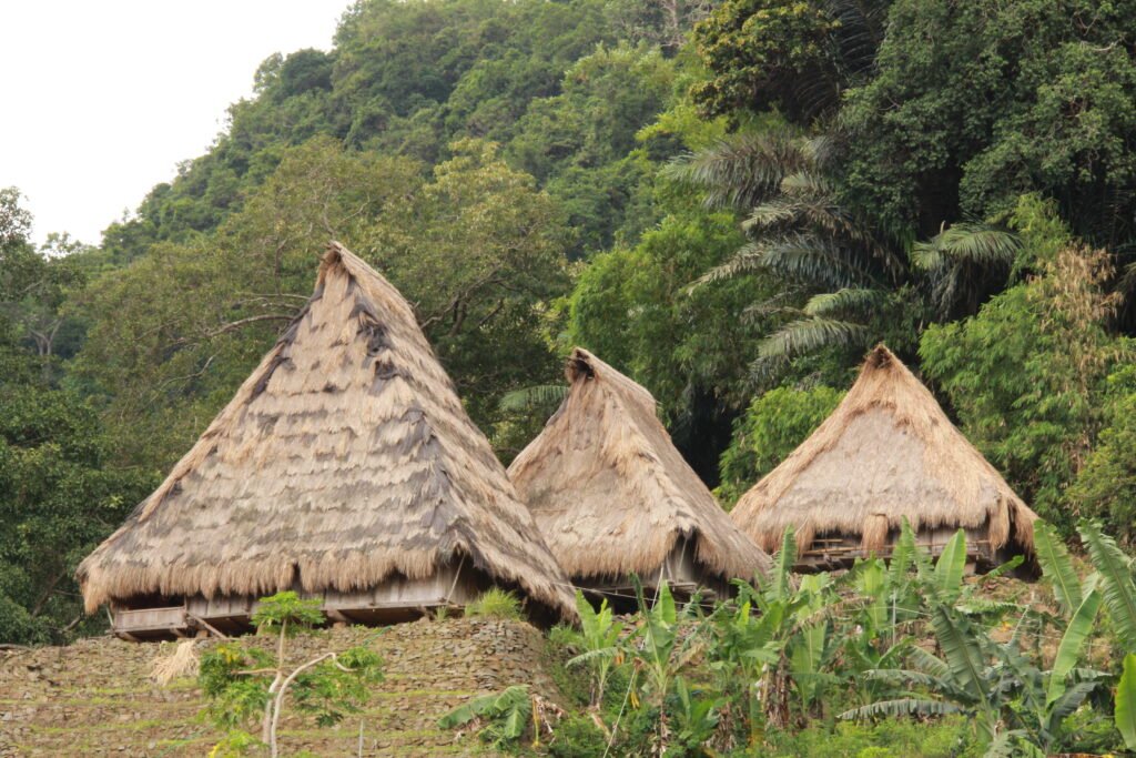 Saga village in Flores