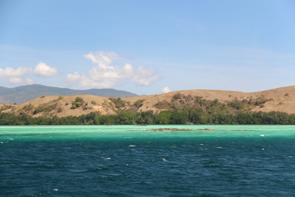 Snorkeling trip