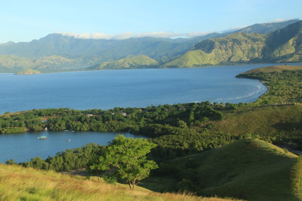 Ende in Flores